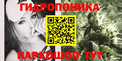 метадон Краснознаменск
